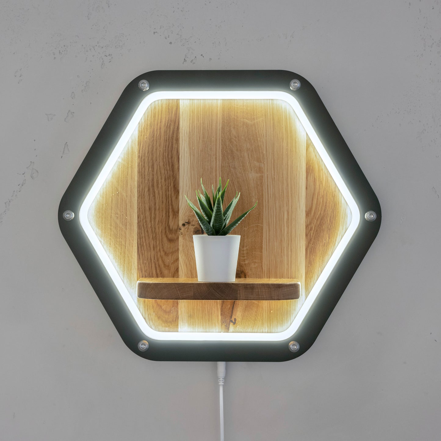 Luminara Wandpodest aus Eichenholz und schwarzem Metall mit LED - beleuchtet mit Pflanze