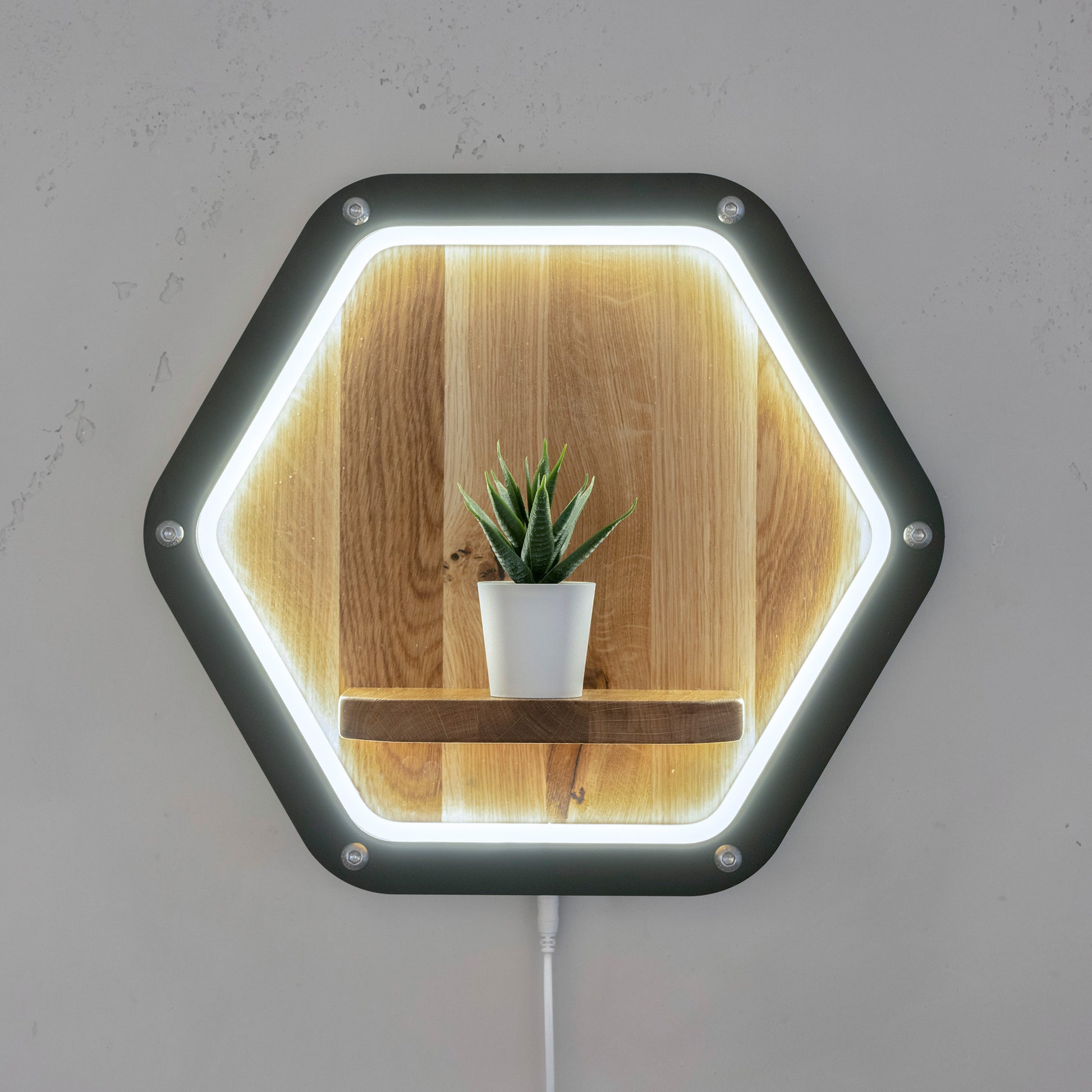 Luminara Wandpodest aus Eichenholz und schwarzem Metall mit LED - beleuchtet mit Pflanze