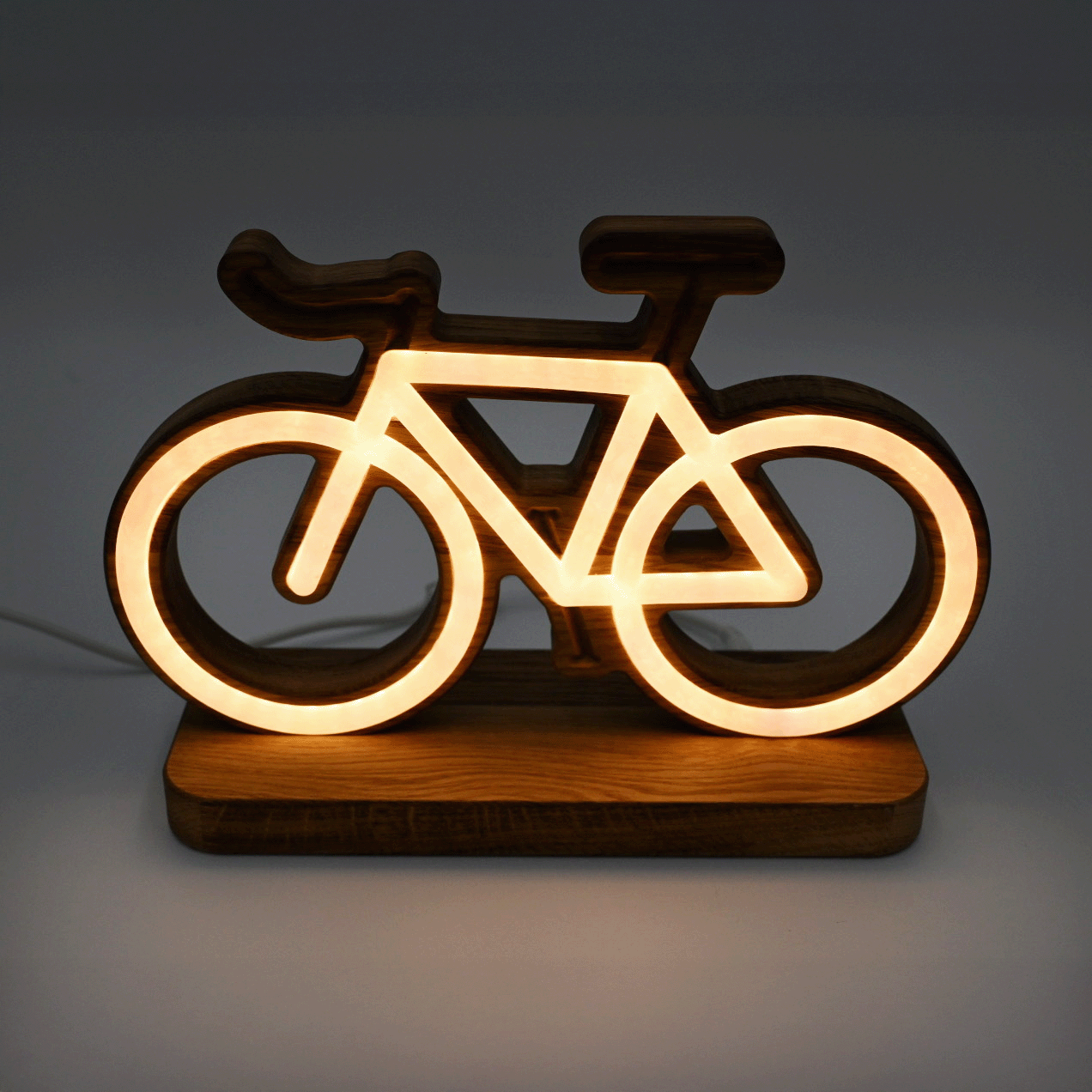 Lignulux Lena die Leeze – Fahrrad LED Neonlampe von der Factory